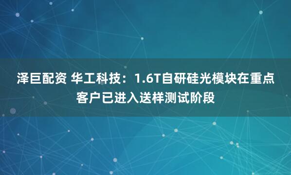 泽巨配资 华工科技：1.6T自研硅光模块在重点客户已进入送样测试阶段